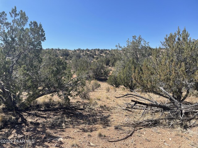 30134 W Alpia Cir, Seligman, AZ 86337 - photo 7