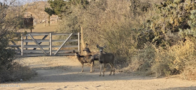 view of gate featuring a rural view