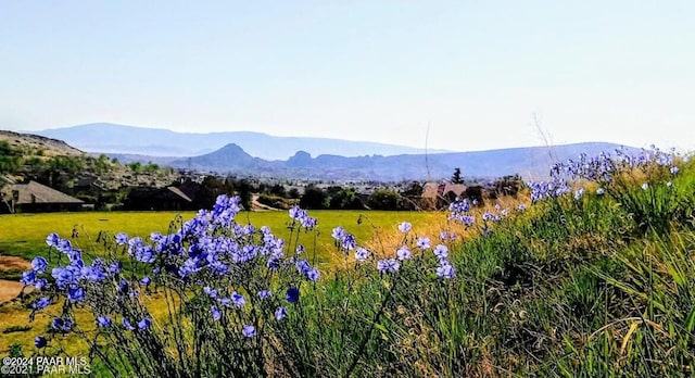 property view of mountains