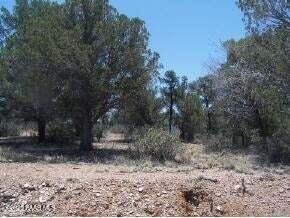 13590 Indian Pony Trl, Prescott AZ, 86305 land for sale