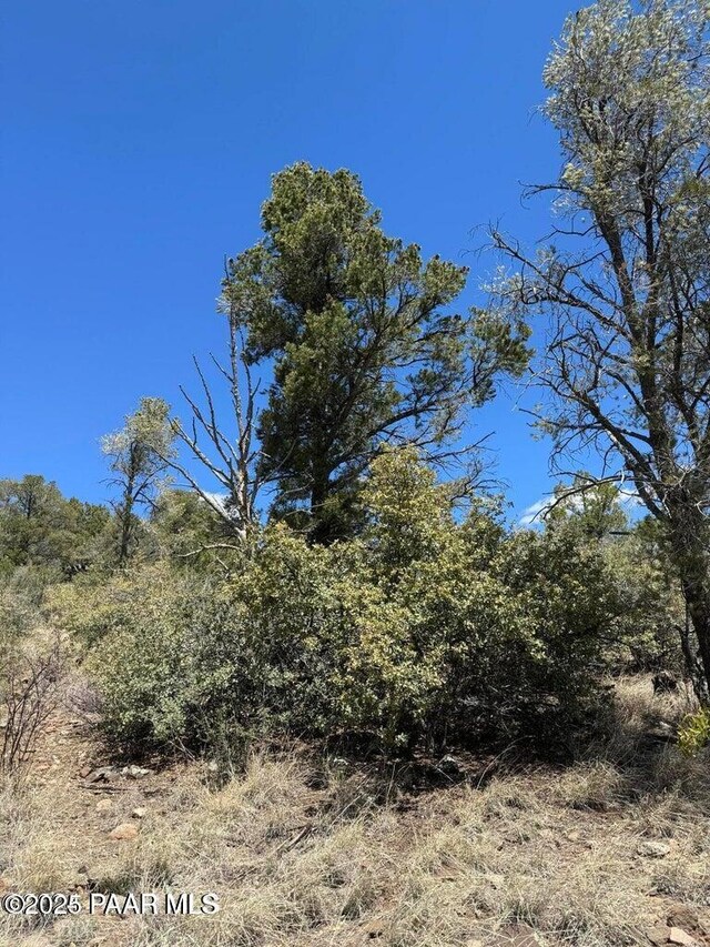25 Pinnacle Rd, Prescott, AZ 86305 - photo 7