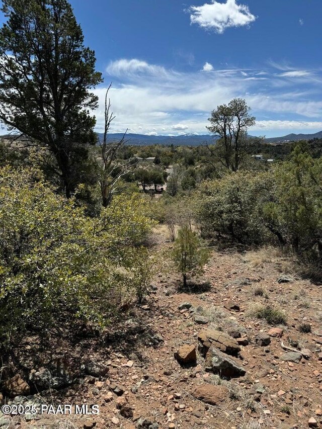 25 Pinnacle Rd, Prescott, AZ 86305 - photo 8