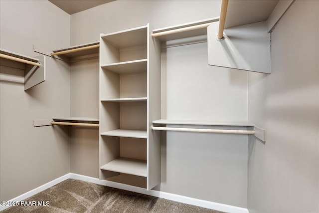 walk in closet with carpet