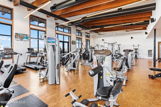 exercise room featuring a high ceiling