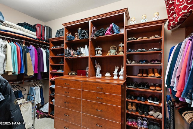 spacious closet featuring carpet flooring