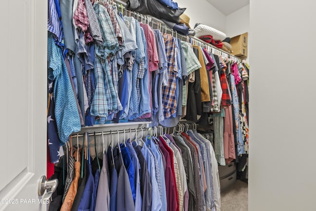 walk in closet featuring carpet
