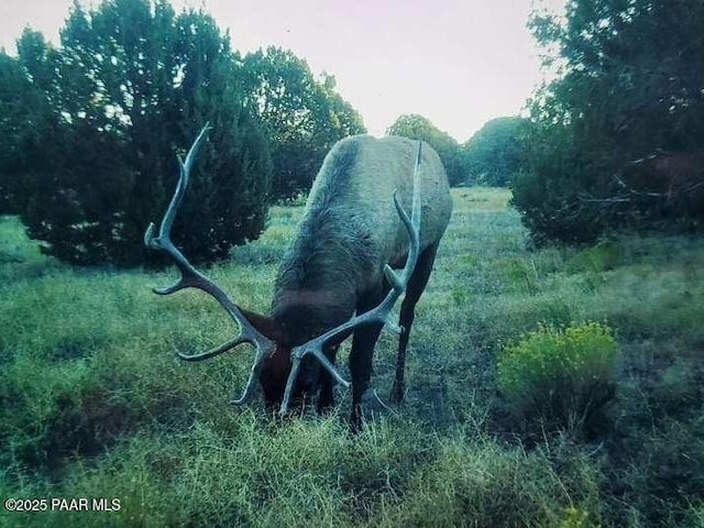 9860 Cortez Ranch Rd, Williams, AZ 86320 - photo 1