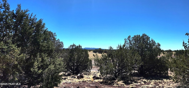 408 Inez Dr, Williams, AZ 86046 - photo 24