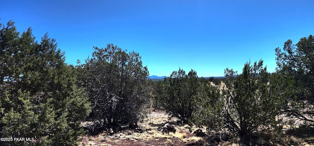 408 Inez Dr, Williams, AZ 86046 - photo 25