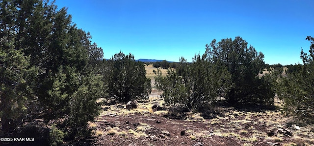 408 Inez Dr, Williams, AZ 86046 - photo 23
