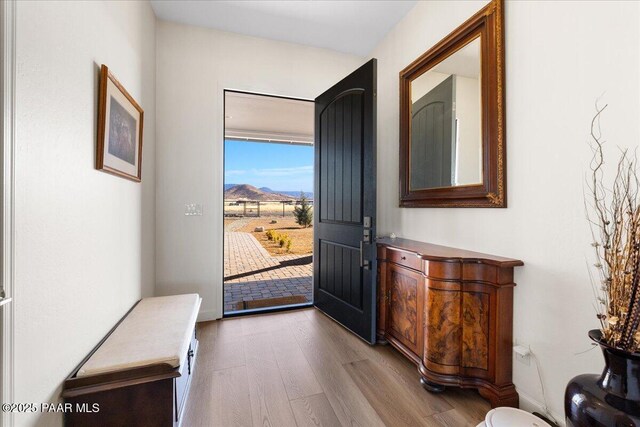 entrance foyer featuring wood finished floors