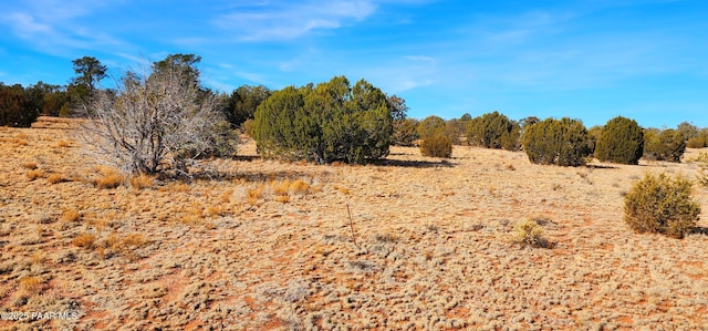 Listing photo 3 for 0 W Roaming Way, Seligman AZ 86337