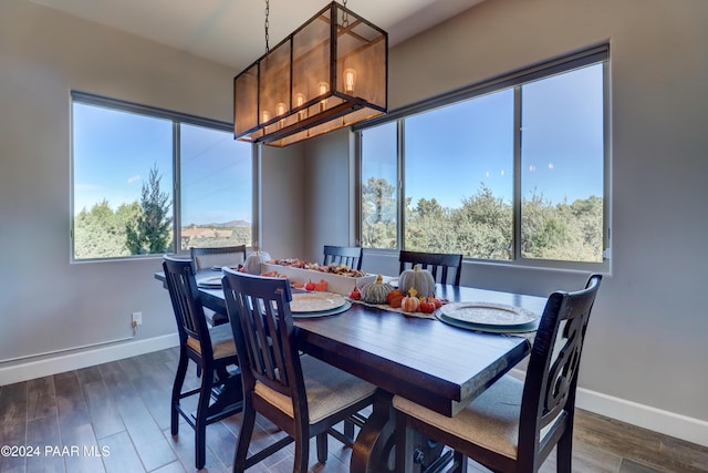 dining room with dark wood-type flooring