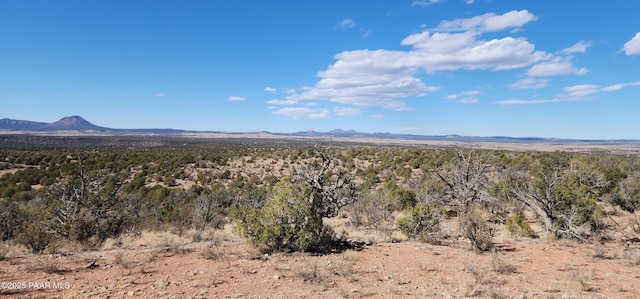 Listing photo 2 for LOT50 Scorpion, Ash Fork AZ 86320