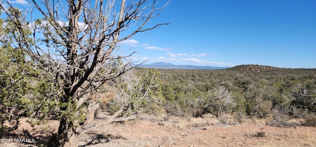 LOT50 Scorpion, Ash Fork AZ, 86320 land for sale