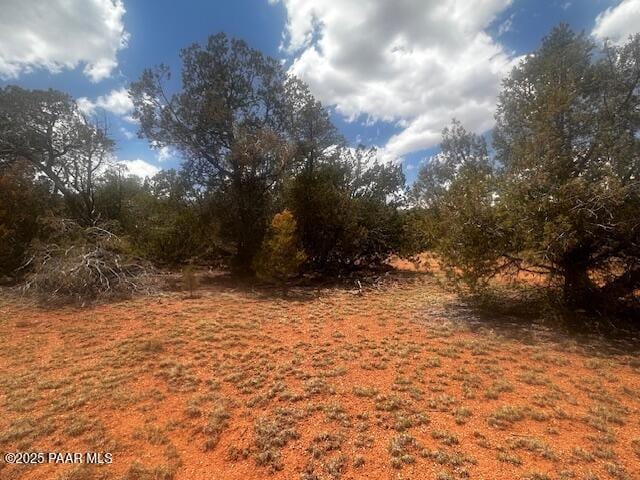 32941 Montecito Ln, Seligman, AZ 86337 - photo 6