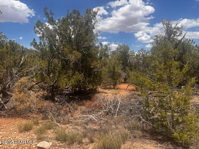 32941 Montecito Ln, Seligman, AZ 86337 - photo 12