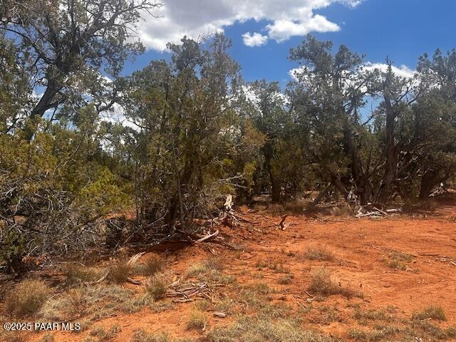 32941 Montecito Ln, Seligman, AZ 86337 - photo 8