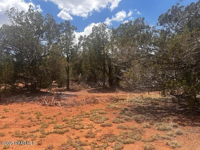 32941 Montecito Ln, Seligman, AZ 86337 - photo 7