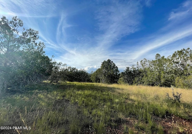 Listing photo 3 for 32956 W Conejo Rd, Seligman AZ 86337