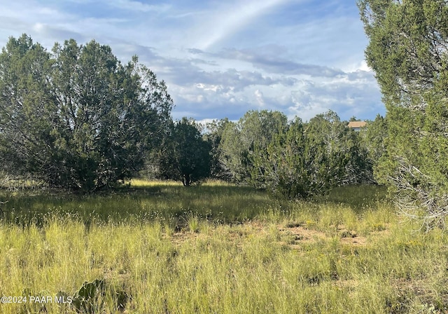 32956 W Conejo Rd, Seligman AZ, 86337 land for sale