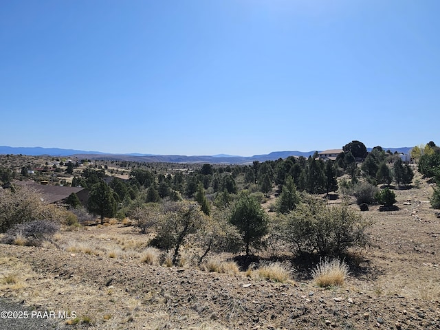 17798 Tawny Ln, Peeples Valley, AZ 86332