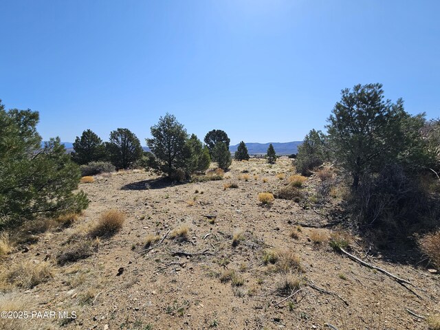 17798 Tawny Ln, Peeples Valley, AZ 86332