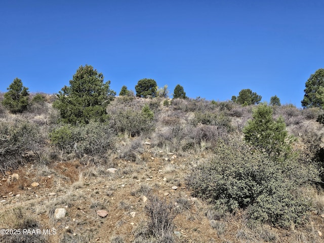 17798 Tawny Ln, Peeples Valley, AZ 86332