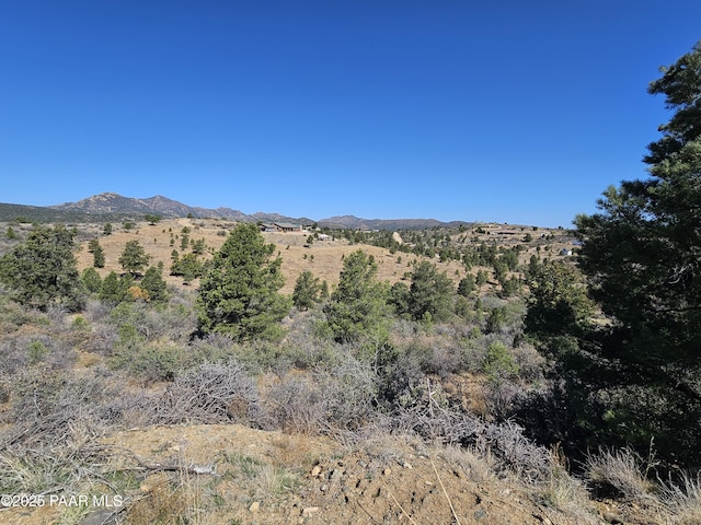 17798 Tawny Ln, Peeples Valley, AZ 86332