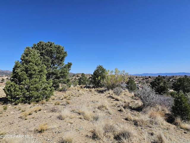 17798 Tawny Ln, Peeples Valley, AZ 86332