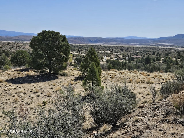 17798 Tawny Ln, Peeples Valley, AZ 86332