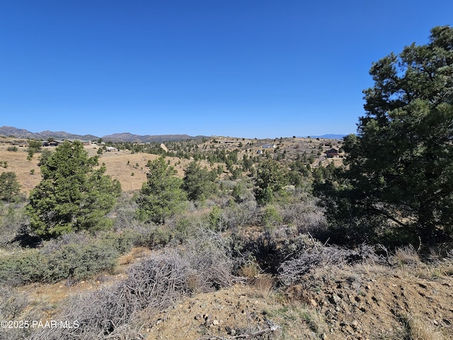 17798 Tawny Ln, Peeples Valley, AZ 86332