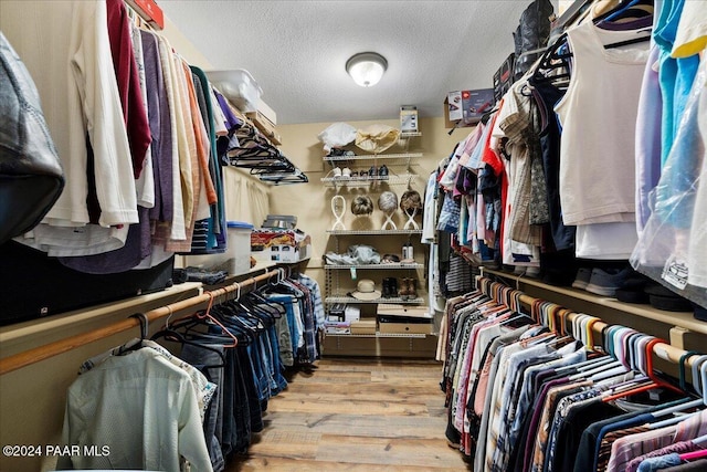 spacious closet featuring light hardwood / wood-style floors