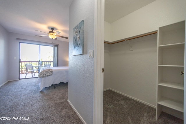 3070 Cascades Ct Unit 14C, Prescott, AZ 86301 - spacious closet with carpet flooring and ceiling fan