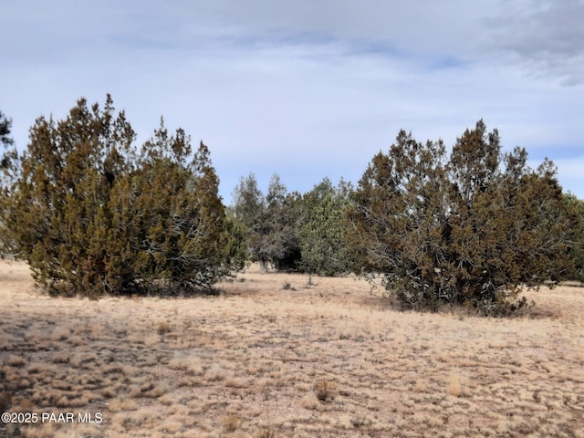 Listing photo 3 for 072g Gentle Breeze, Seligman AZ 86337