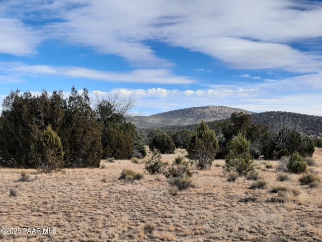 072g Gentle Breeze, Seligman AZ, 86337 land for sale