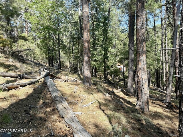 5990B Old Walker Rd, Prescott, AZ 86303 - photo 8