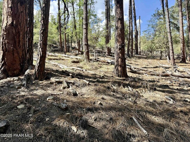 5990B Old Walker Rd, Prescott, AZ 86303 - photo 3