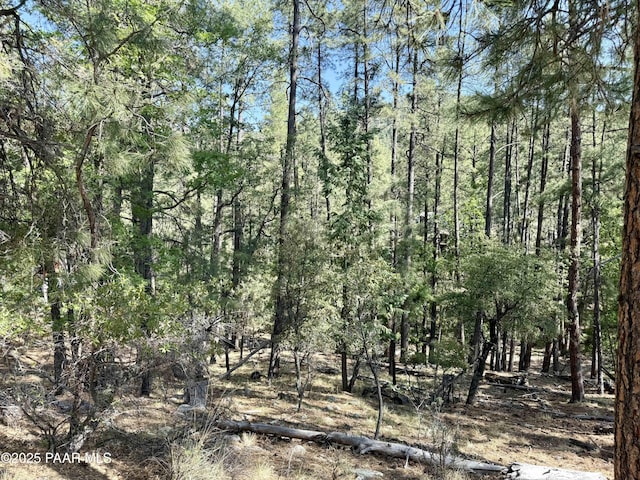 5990B Old Walker Rd, Prescott, AZ 86303 - photo 1