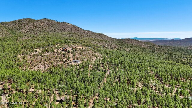 5990B Old Walker Rd, Prescott, AZ 86303 - photo 11