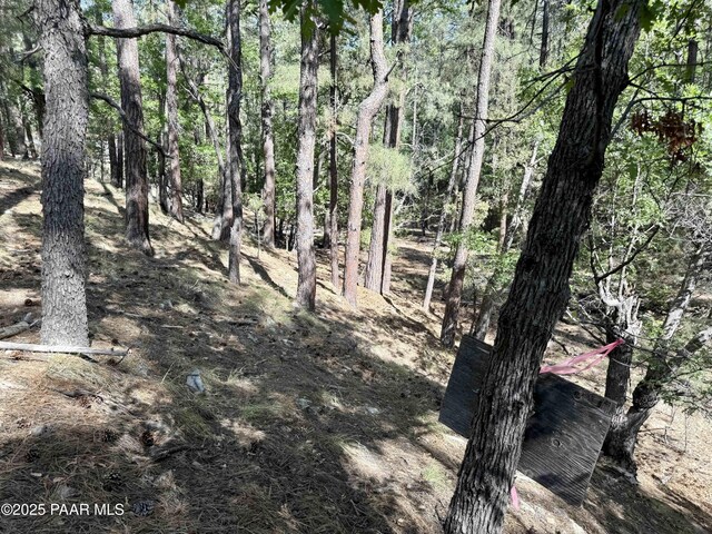 5990B Old Walker Rd, Prescott, AZ 86303 - photo 5