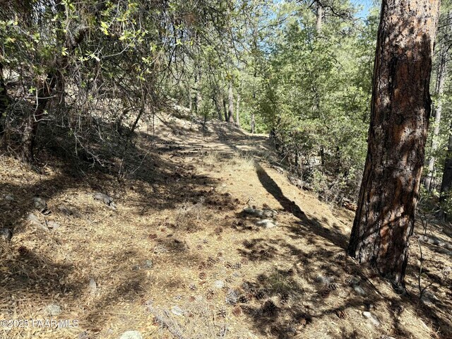 5990B Old Walker Rd, Prescott, AZ 86303 - photo 6