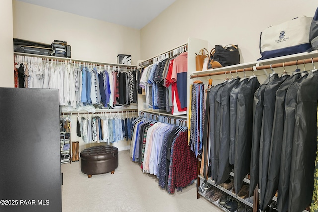 24757 N 175th Dr, Surprise, AZ 85387 - spacious closet with carpet flooring