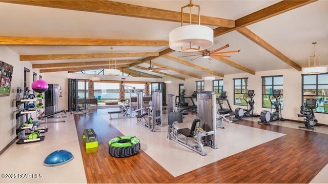 24757 N 175th Dr, Surprise, AZ 85387 - workout area with wood finished floors and ceiling fan
