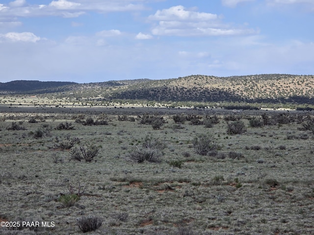 LOT1434 Sierra Verde Rnch, Seligman, AZ 86323 - photo 24