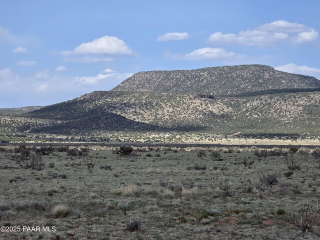 LOT1434 Sierra Verde Rnch, Seligman, AZ 86323 - photo 1