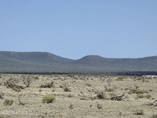 LOT1434 Sierra Verde Rnch, Seligman, AZ 86323 - photo 13