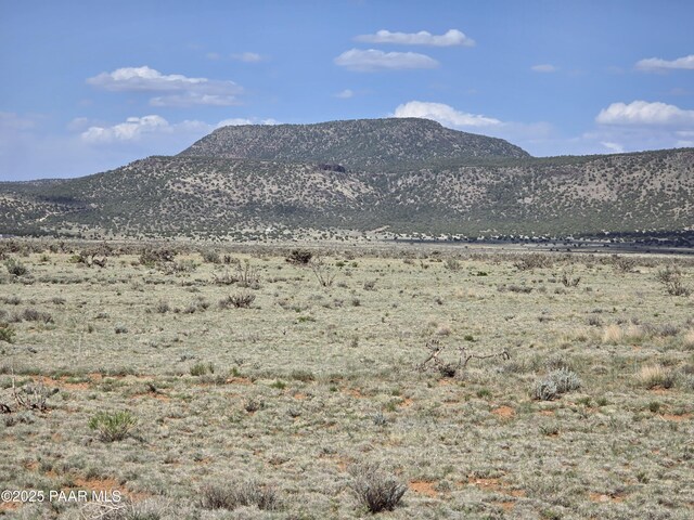 LOT1434 Sierra Verde Rnch, Seligman, AZ 86323 - photo 3