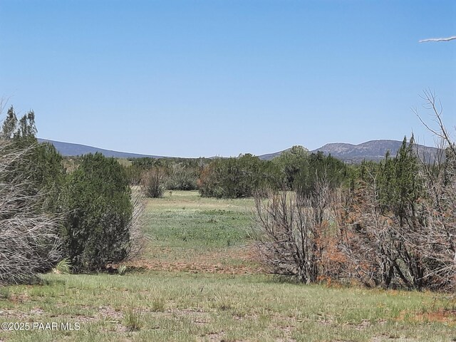 LOT1316 Anvil Rock Rd, Seligman, AZ 86337