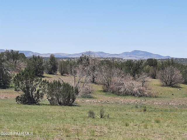 LOT1316 Anvil Rock Rd, Seligman, AZ 86337